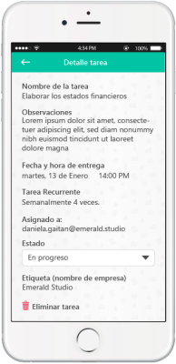 10-6 Detalle tarea